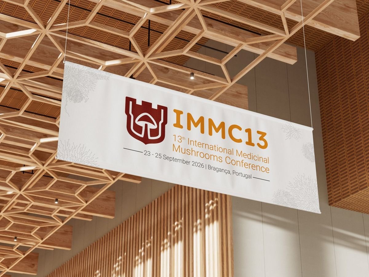 Banner da conferência IMMC13